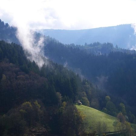 Willa Buehlbauernhof Bad Peterstal-Griesbach Zewnętrze zdjęcie