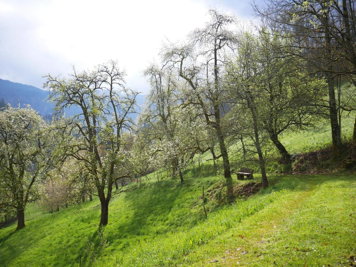 Willa Buehlbauernhof Bad Peterstal-Griesbach Zewnętrze zdjęcie