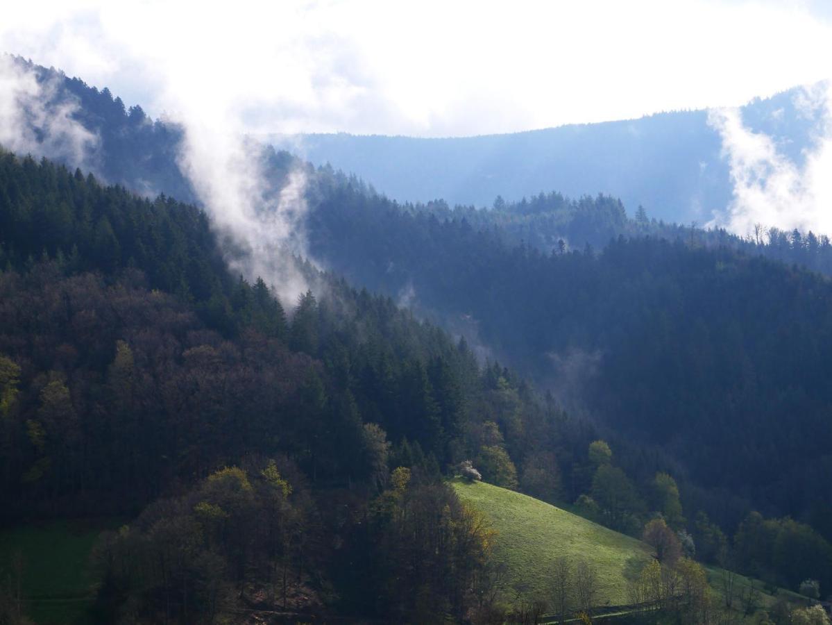 Willa Buehlbauernhof Bad Peterstal-Griesbach Zewnętrze zdjęcie