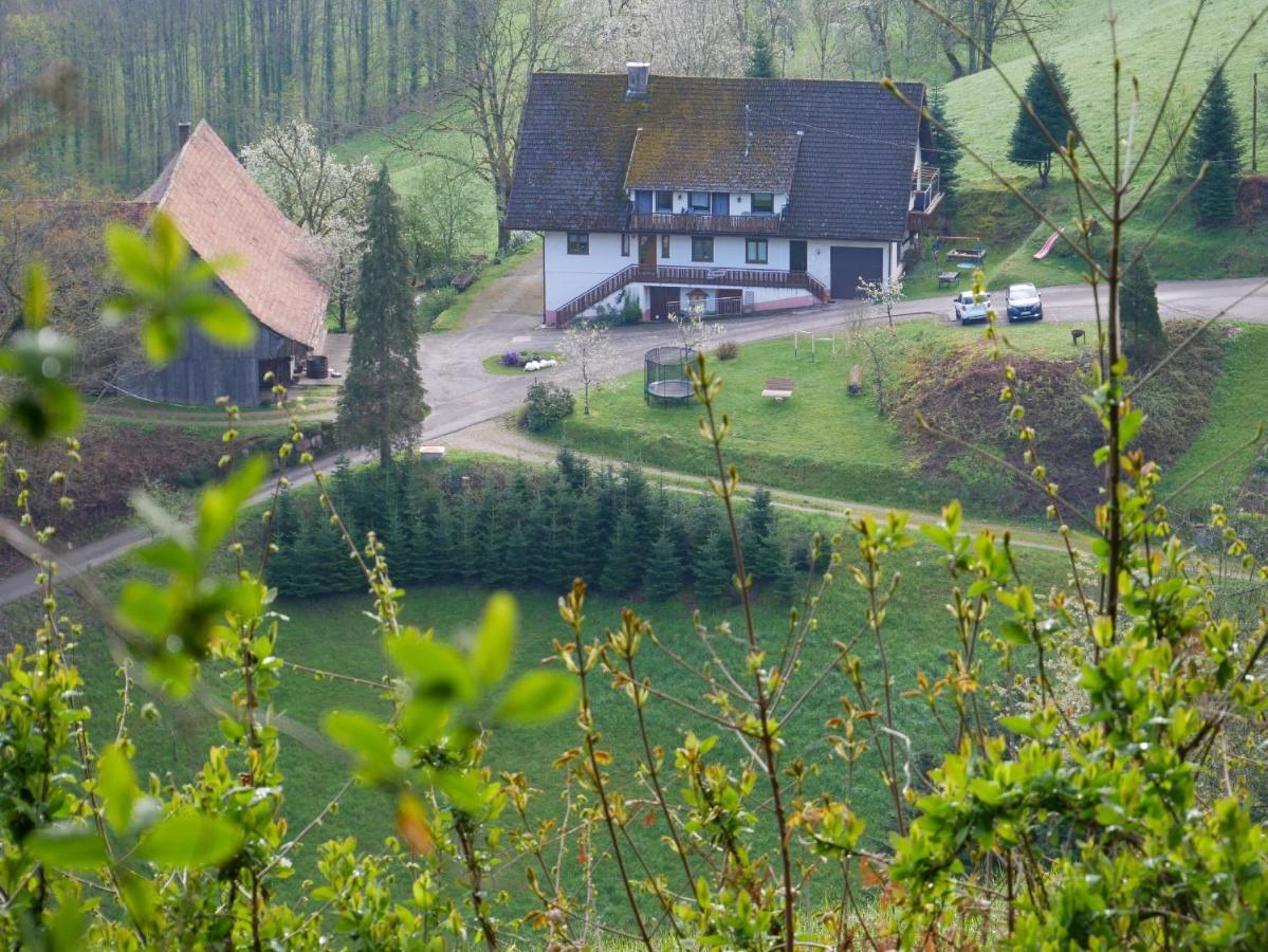 Willa Buehlbauernhof Bad Peterstal-Griesbach Zewnętrze zdjęcie